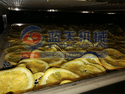 廣西水果烘干機(jī)用戶(hù)現(xiàn)場(chǎng)