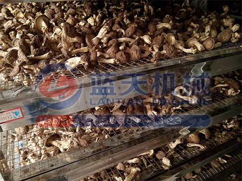 湖北香菇烘干機(jī)用戶(hù)現(xiàn)場(chǎng)